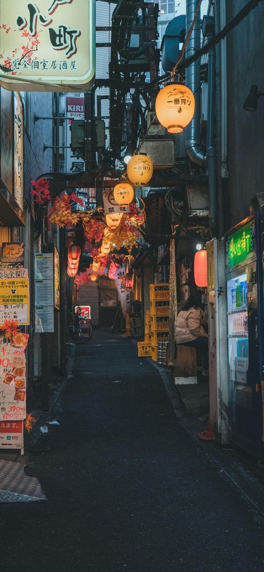 日本电影在线观看 App 搜索页截图，输入片名后按年份与主创列出一串候选结果，便于快速定位